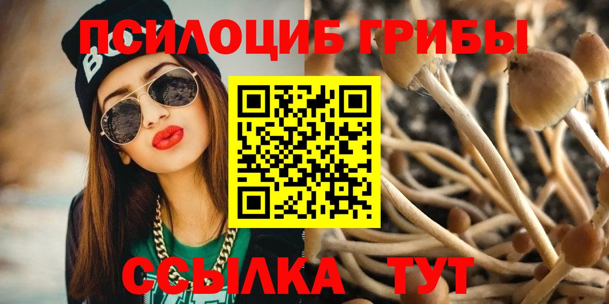 Галлюциногенные грибы MAGIC MUSHROOMS Аргун