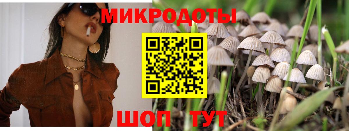 купить наркотики сайты  Галлюциногенные грибы Psilocybine cubensis  Вход с VPN  Аргун 